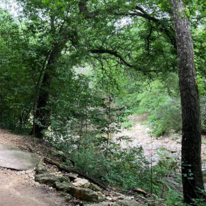 Shoal Creek Greenbelt