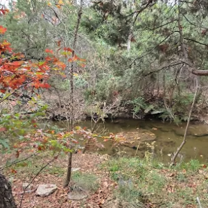 Smith Greenbelt