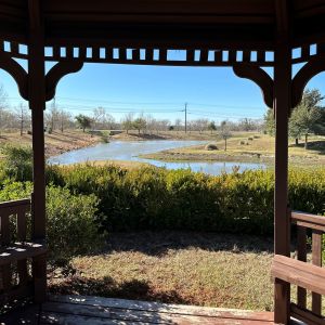 Bell Farms Pond