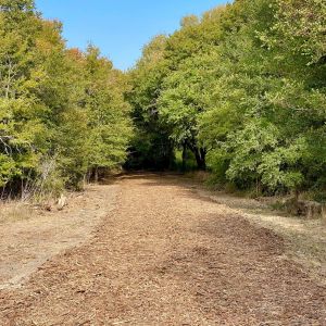 Woodlands Nature Trail