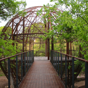 Pease Park Treehouse