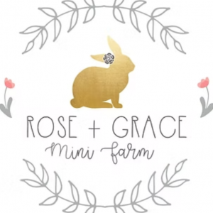 Rose & Grace Mini Farm